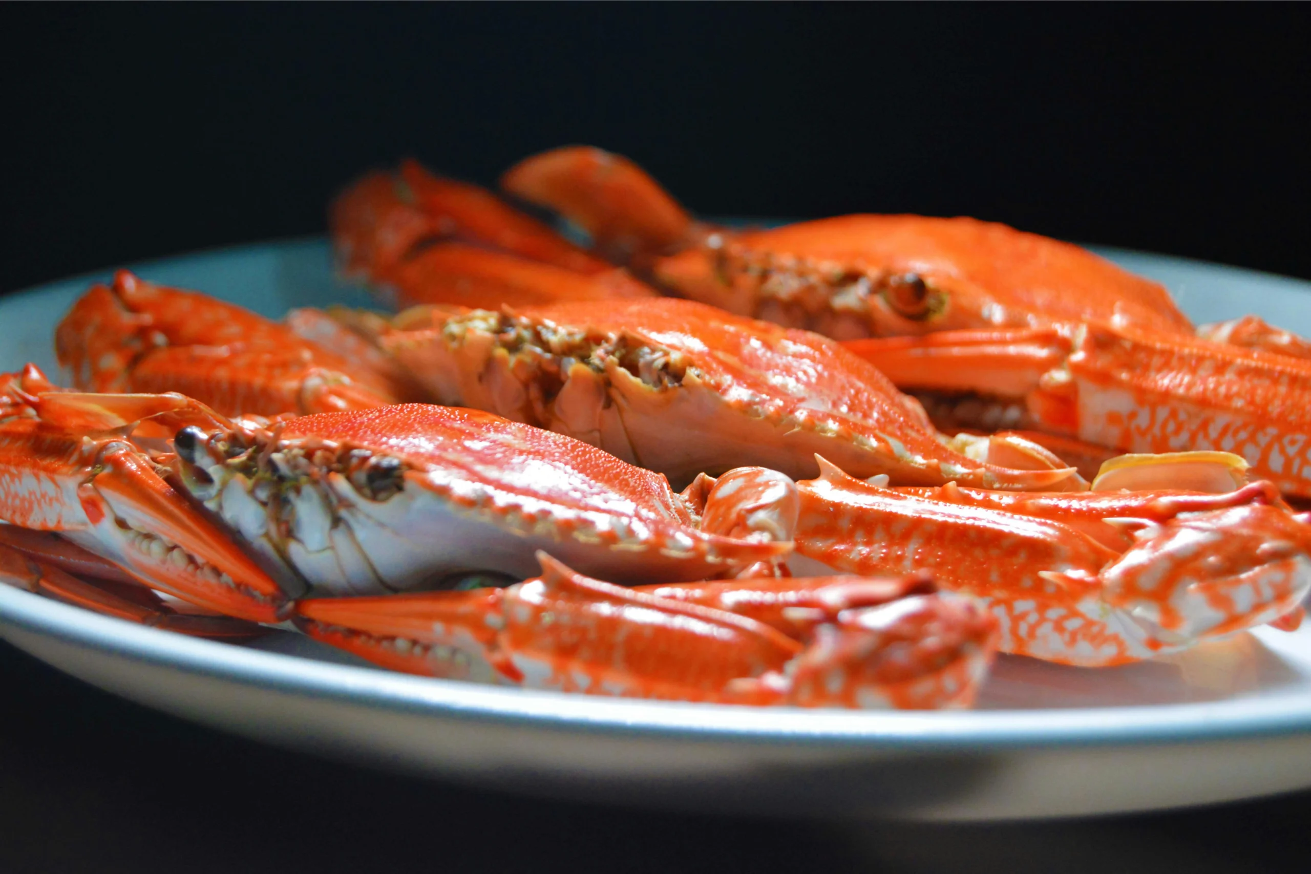 How to cook dungeness crab 